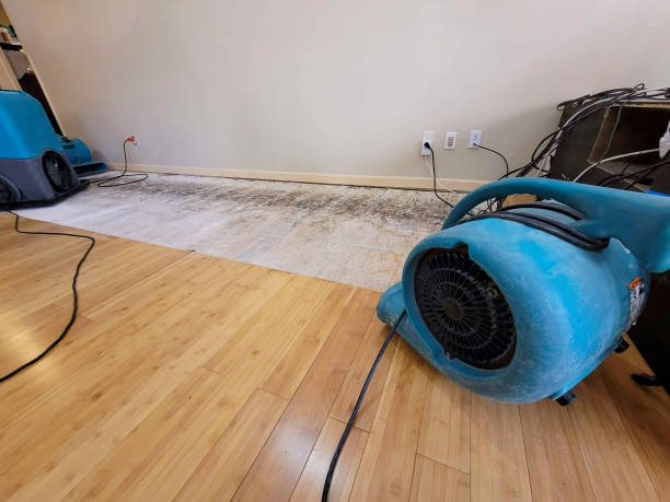 Professional Flood Damage Cleanup technician working in Berwick, LA